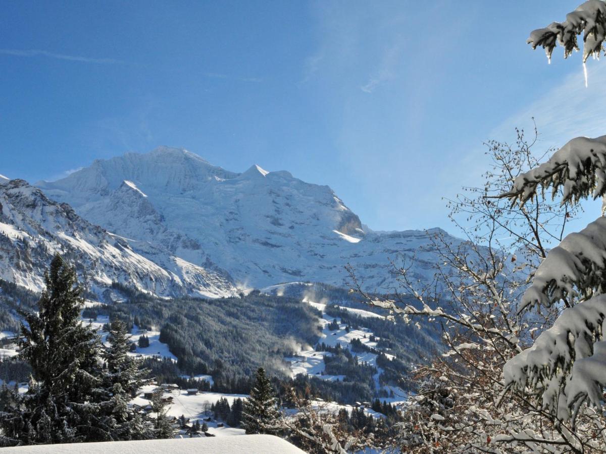 Apartment Central By Interhome Wengen Buitenkant foto